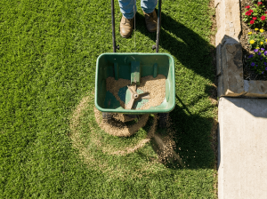 Spreader spraying granular fertilizer across a suburban grass lawn
