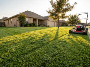 A freshly mowed grass lawn with a rotary push mower parked at the side